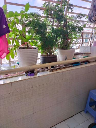 Ban công căn hộ Cao ốc Thạnh Mỹ Lợi, Quận 2 Căn hộ Chung cư Thạnh Mỹ Lợi tầng thấp, view đón gió mát mẻ.