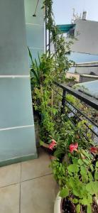 Nhà phố Tô Ký, Quận 12 Nhà phố hướng Đông Nam, hẻm xe ba gác, diện tích 92m2.