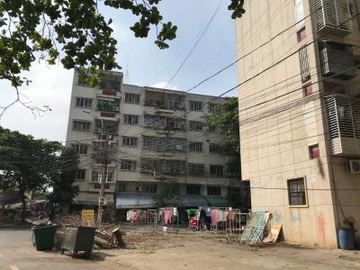 Căn hộ Chung cư Mười Mẫu, Quận 2 Căn hộ Chung cư Mười Mẫu không gian nhiều cây xanh không khí trong lành.
