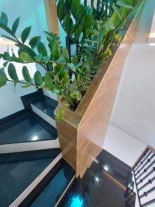 Nhà phố Quận Bình Thạnh Nhà phố kết cấu 1 trệt 1 lầu diện tích 27m2, đầy đủ nội thất.