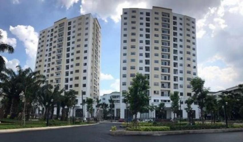 Chung cư Đông Hưng Căn hộ chung cư Đông Hưng tầng trung, cửa hướng Đông Bắc.