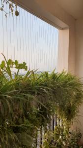 View căn hộ 9 View Apartment, Quận 9 Căn hộ 9 View Apartment cửa hướng Tây Băc, đầy đủ nội thất.