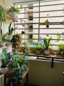 Không gian căn hộ Chung cư Khang Gia, Gò Vấp Căn hộ Chung cư Khang Gia tầng trệt, đầy đủ nội thất.