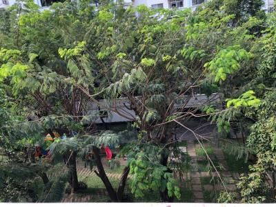 View chung cư Hưng Vượng 2, Quận 7 Căn hộ chung cư Hưng Vượng 2 nội thất cơ bản, hướng Đông Nam.