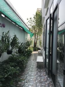 Biệt thự Quận 2 Biệt thự diện tích 165m2 được thiết kế sang trọng, bàn giao nội thất cơ bản.