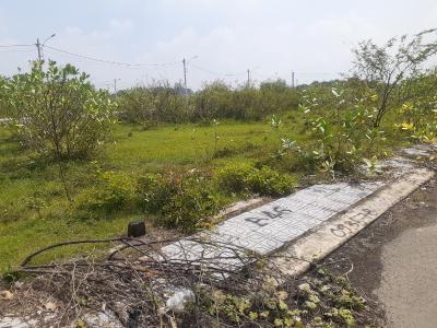 Đất nền Long Phước Bán đất nền đường Long Phước, Phường Long Phước Quận 9, diện tích đất 50.3m2