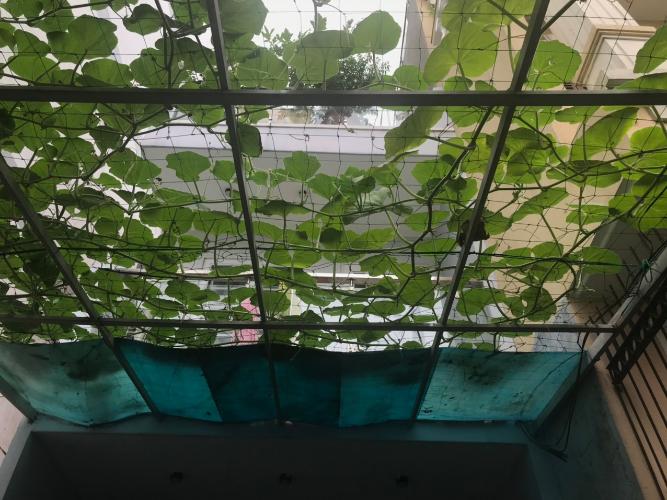 nhà phố quận 4 Bán nhà phố 1 trệt 2 lầu Tôn Thất Thuyết Quận 4, nội thất cơ bản