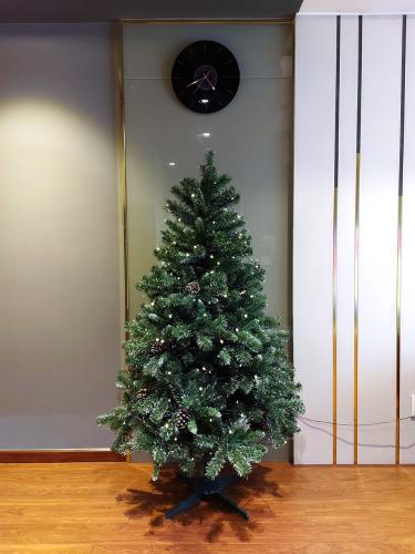 Căn hộ The Botanica, Tân Bình Căn hộ The Botanica tầng 08 ban công hướng Đông Nam