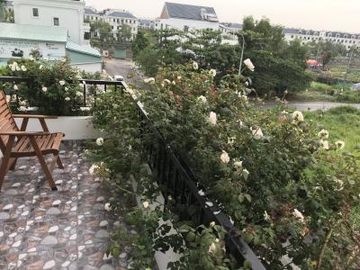 Biệt thự Quận 2 Biệt thự diện tích 165m2 được thiết kế sang trọng, bàn giao nội thất cơ bản.