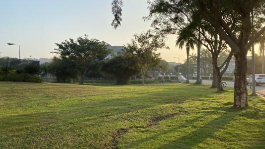 Không gian ngoài nhà phố Quận 9 Nhà phố KDC Mega Residence Quận 9 hướng Đông, đầy đủ nội thất.