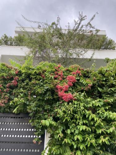 Biệt thự Quận 2 Biệt thự diện tích 165m2 được thiết kế sang trọng, bàn giao nội thất cơ bản.