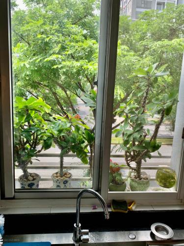 Ban công căn hộ chung cư Mỹ Khang Căn hộ chung cư Mỹ Khang tầng thấp view nội khu, hướng Tây.
