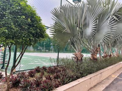 Tiện ích căn hộ The Eastern, Quận 9 Căn hộ The Eastern tầng 19 ban công thoáng mát, đầy đủ nội thất.