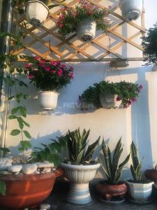 Không gian căn hộ Hoàng Anh River View, Quận 2 Căn hộ Hoàng Anh River View đầy đủ nội thất, thiết kế hiện đại.