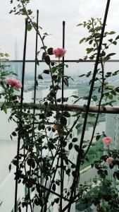 View căn hộ Sadora Apartment , Quận 2 Căn Penthouse Sadora Apartment tầng 23 ban công hướng Bắc