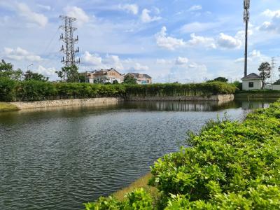 View hồ Cho thuê biệt thự Ninesouth đường Nguyễn Hữu Thọ Nhà Bè, diện tích 140m2