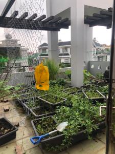 8ad16cc832facca495eb Biệt thự Quận 2 ven sông, thiết kế hiện đại, vị trí đắc địa.