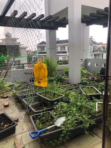 8ad16cc832facca495eb Biệt thự Quận 2 ven sông, thiết kế hiện đại, vị trí đắc địa.