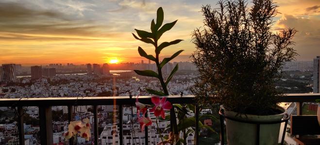 Căn hộ La Astoria, Quận 2 Căn hộ La Astoria tầng cao, ban công hướng Tây.