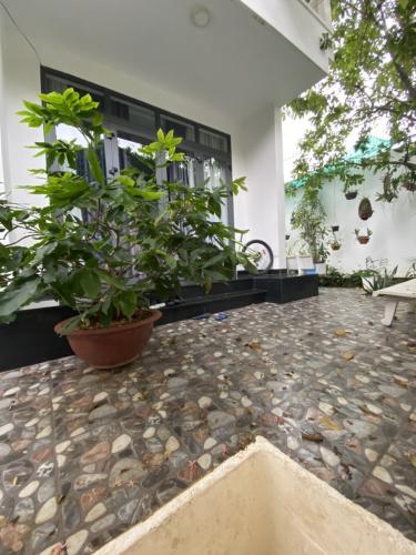 Biệt thự Quận 2 Biệt thự diện tích 165m2 được thiết kế sang trọng, bàn giao nội thất cơ bản.