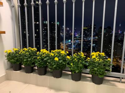 Ban công Vinhomes Central Park Căn hộ Vinhomes Central Park tầng cao, view hướng nội khu thoáng mát.