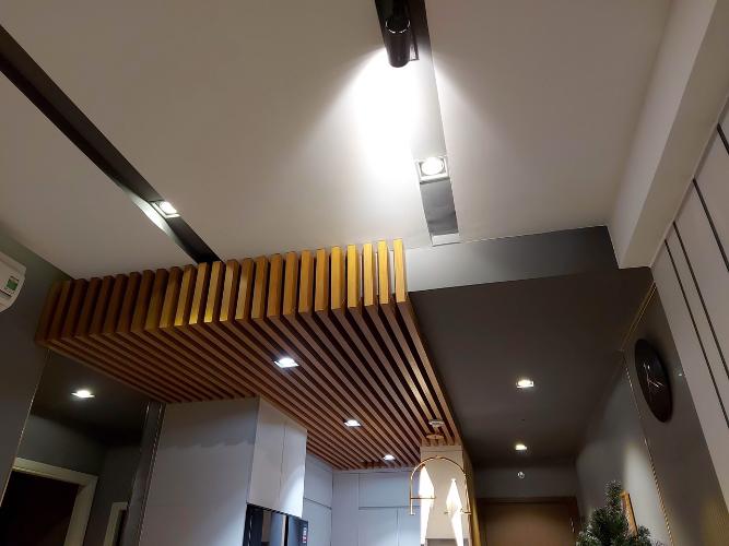 Căn hộ The Botanica, Tân Bình Căn hộ The Botanica tầng 08 ban công hướng Đông Nam