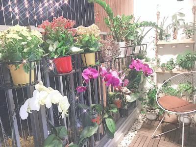 Ban công The Sun Avenue, Quận 2 Căn hộ The Sun Avenue nội thất đầy đủ, view Đông Nam.