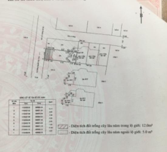 Bản vẽ nhà phố Quận 2 Nhà phố hẻm xe hơi hướng Tây view sông, nội thất cơ bản.