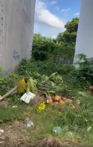 Đất nền Quận 12 Đất nền hẻm rộng 5m đường Thạnh Xuân 25, diện tích 50m2 vuông đẹp.