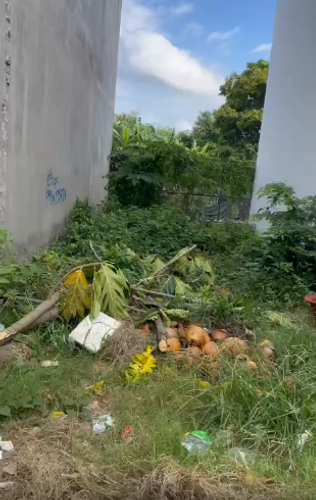 Đất nền Quận 12 Đất nền hẻm rộng 5m đường Thạnh Xuân 25, diện tích 50m2 vuông đẹp.