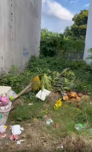 Đất nền Quận 12 Đất nền hẻm rộng 5m đường Thạnh Xuân 25, diện tích 50m2 vuông đẹp.