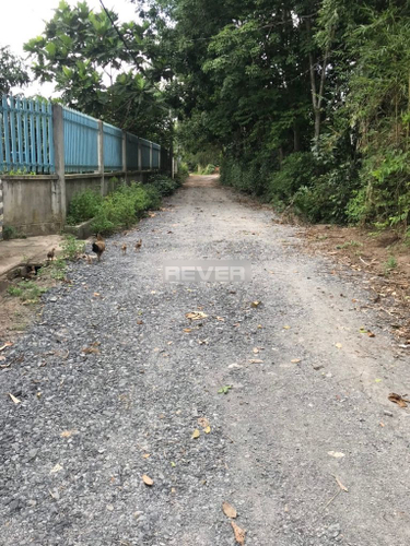 Đường trước đất nền Huyện Củ Chi Đất nền diện tích 3000m2 có sẵn xưởng lớn trên đất, pháp lý rõ ràng.