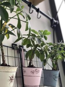 Không gian căn hộ De Capella , Quận 2 Căn hộ De Capella  thiết kế hiện đại cách âm cực tốt, bàn giao đầy đủ nội thất.