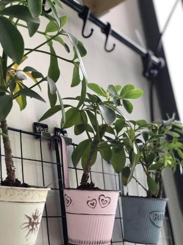 Không gian căn hộ De Capella , Quận 2 Căn hộ De Capella  thiết kế hiện đại cách âm cực tốt, bàn giao đầy đủ nội thất.