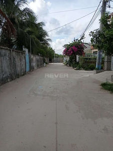 Đường trước đất nền Quận 9 Đất nền dự án Châu Long diện tích 65m2, hướng Tây Nam thoáng mát.