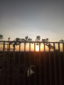 View căn hộ Orchid Park. Huyện Nhà Bè Căn hộ Orchid Park tầng 5 căn góc view thoáng mát, nội thất cơ bản.