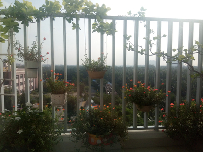 View căn hộ Orchid Park. Huyện Nhà Bè Căn hộ Orchid Park tầng 5 căn góc view thoáng mát, nội thất cơ bản.