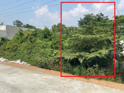 Đất nền Huyện Bình Chánh Đất nền diện tích 120m2 hướng Tây Bắc, khu dân cư sầm uất.