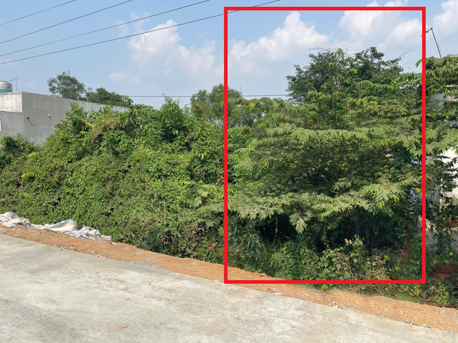 Đất nền Huyện Bình Chánh Đất nền diện tích 120m2 hướng Tây Bắc, khu dân cư sầm uất.