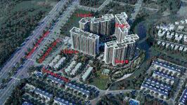 Safira Khang Điền - Toàn cảnh SaFira