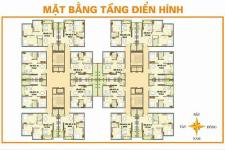 Tecco Tower Thủ Đức - mat-bang-tang-dien-hinh-can-ho-Tecco-tower