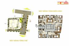 La Bonita - Mat-bang-can-ho-la-bonita-quan-binh-thanh