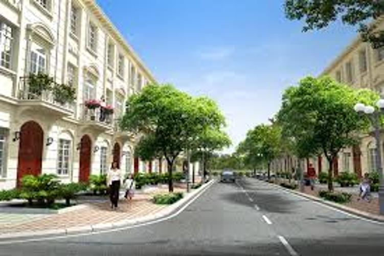 Lucky dragon - Lucky-Dragon-Quan-9