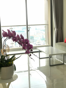 Căn hộ Masteri Millennium, Quận 4 Căn hộ Masteri Millennium tầng 24 ban công hướng Đông Nam thoáng mát.