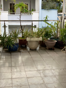 Nhà phố Quận Bình Thạnh Nhà phố Khu cư Xá Công An, thiết kế 1 trệt, 2 lầu và sân thượng kiên cố.