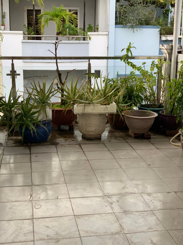 Nhà phố Quận Bình Thạnh Nhà phố Khu cư Xá Công An, thiết kế 1 trệt, 2 lầu và sân thượng kiên cố.