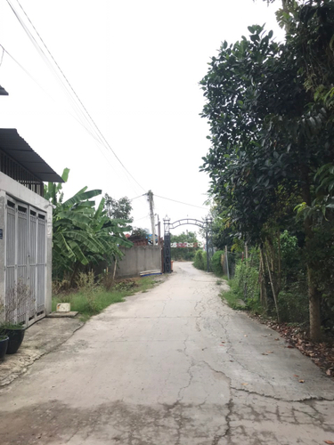 Đường trước đất nền Quận 12 Đất nền diện tích 60m2 vuông đẹp, gần sông Sài Gòn rất thoáng mát.