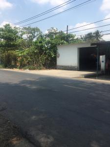 Đường trước nhà xưởng kho bãi Huyện Bình Chánh Nhà xưởng kho bãi diện tích 323.1m2, mặt tiền đường rộng rãi thông thoáng.