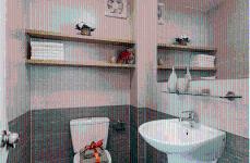 The Art - can-ho-mau-the-art