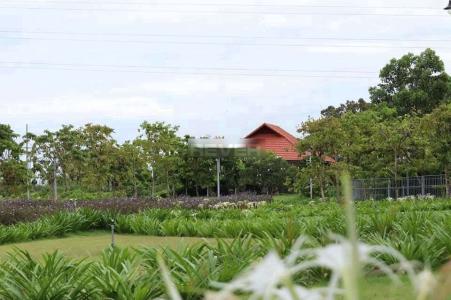 View 4S Riverside Linh Đông Căn hộ 4S Riverside Linh Đông tầng thấp, ban công hướng Tây.